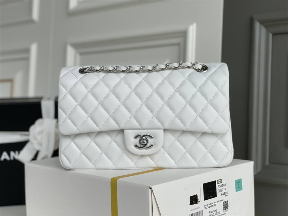 Chanel classic flap 25cm 2025 new 